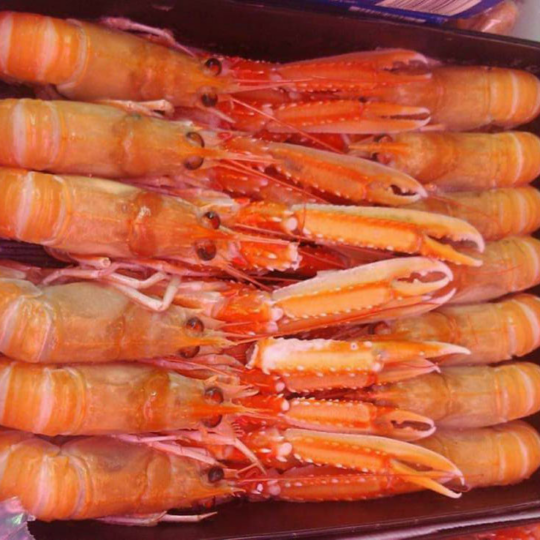 Cigalas congeladas