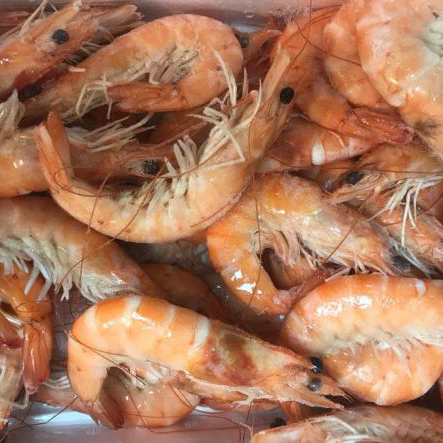 Langostino cocido
