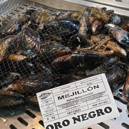 Mejillón