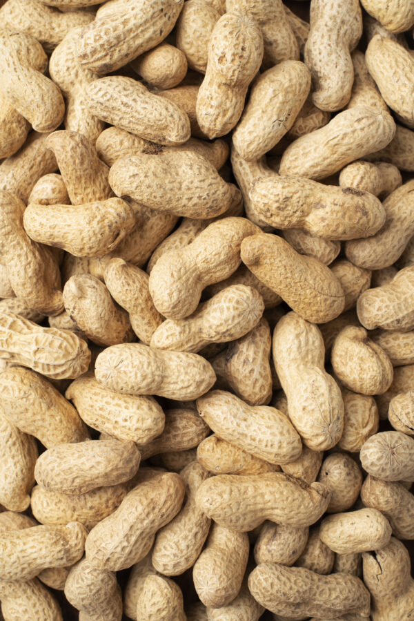 cacahuetes