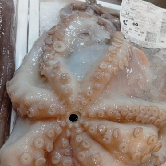 Pulpo roca fresco Mediterráneo 1 kg