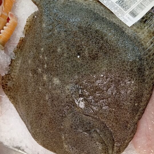 Rodaballo 1 kg
