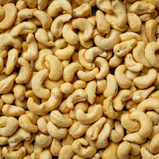 anacardo