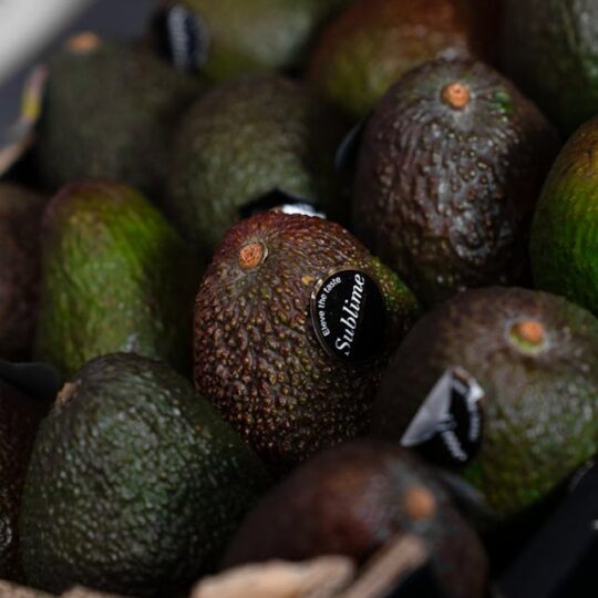 Aguacates