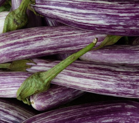 Berenjena
