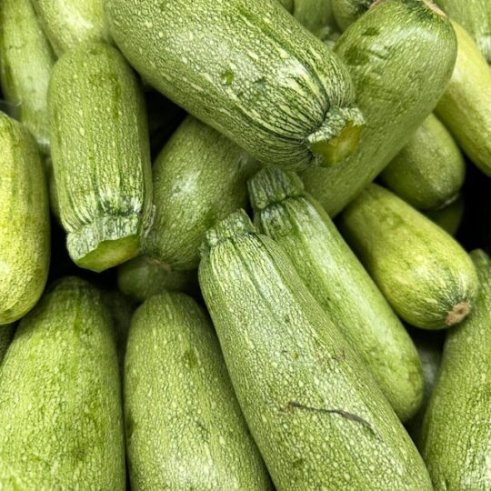 Calabacin