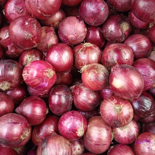 Cebolla Morada