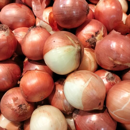 Cebolla Seca