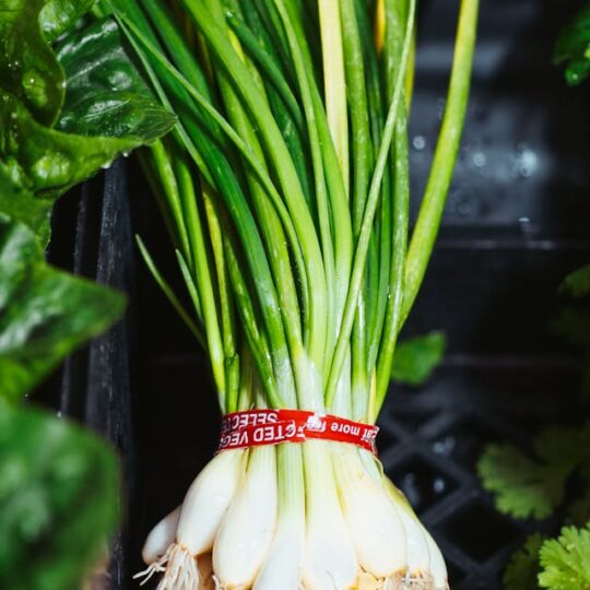 Cebolla Tierna