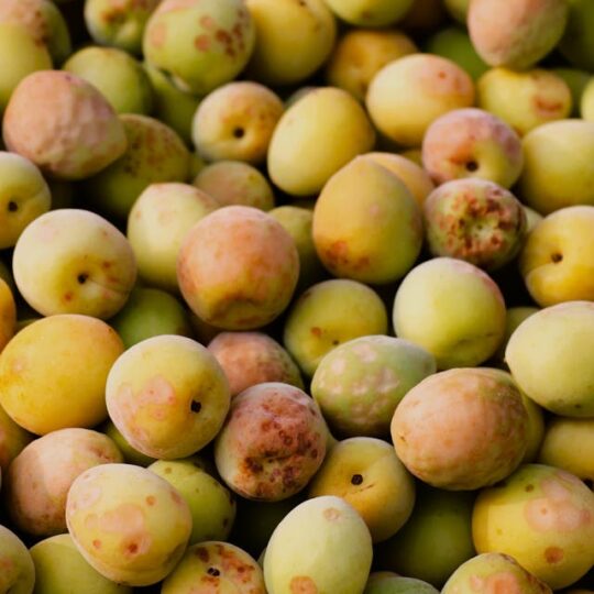 Ciruelos Amarillos
