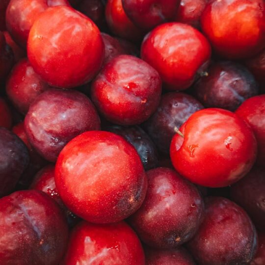 Ciruelos Rojos