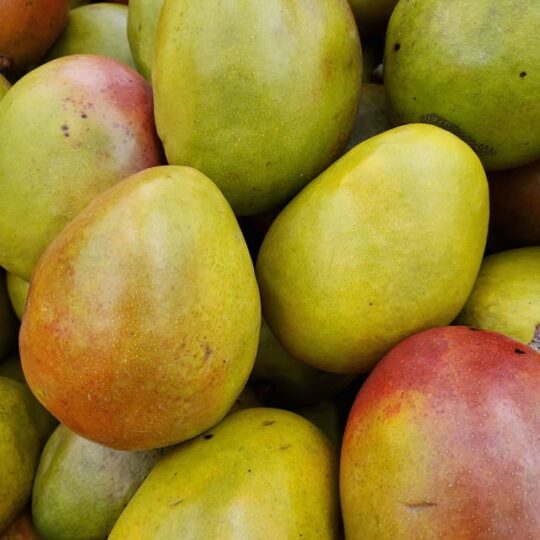 Mangos