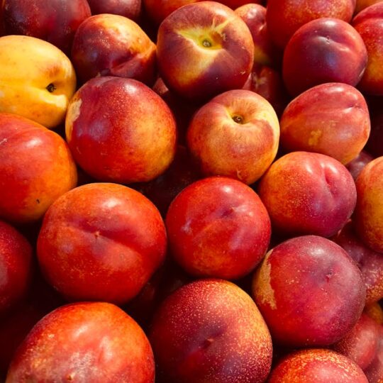 Nectarina