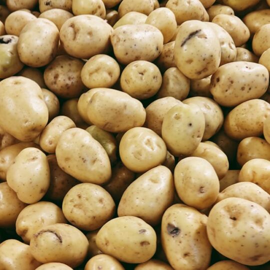 Patatas