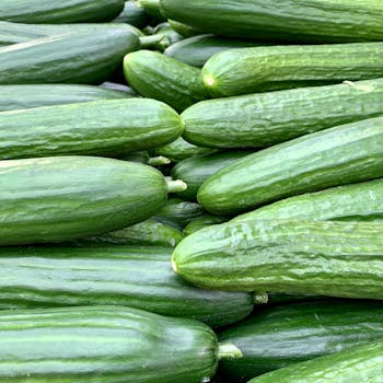 Pepino Snack