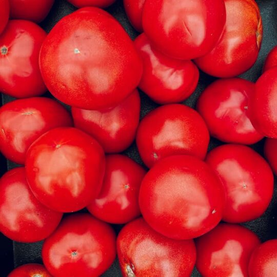 Tomate Óptima