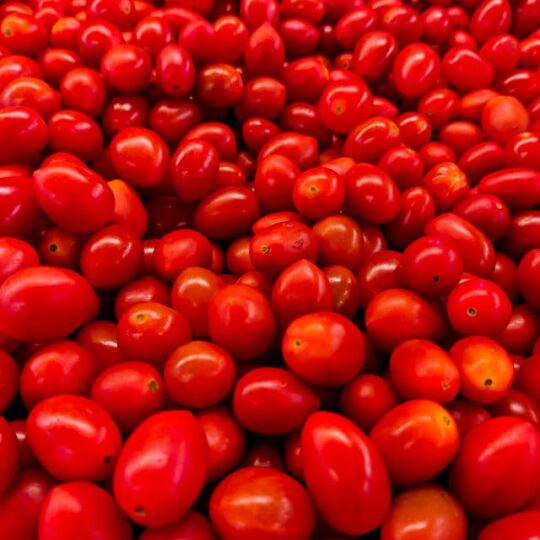 Tomate Pera