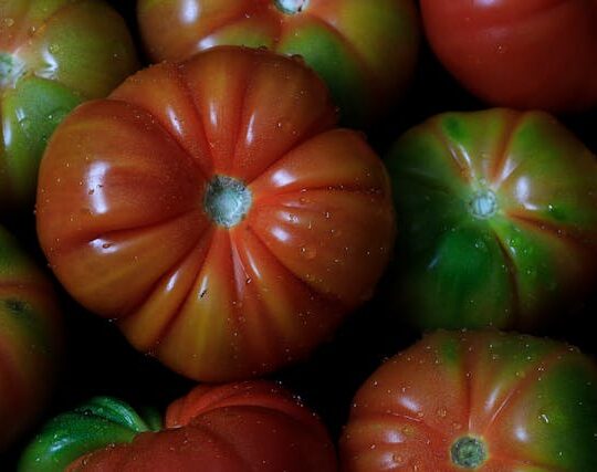 Tomate Valenciano