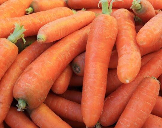 Zanahorias