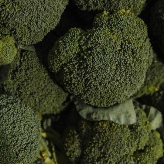 Brócoli
