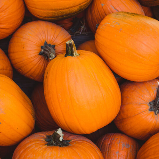 Calabaza